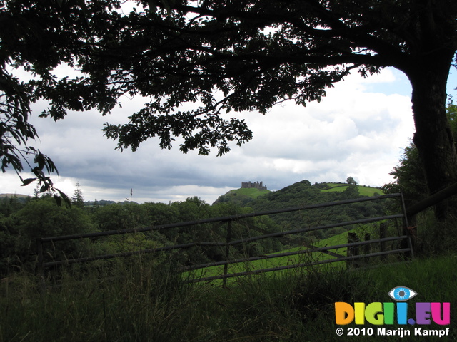 SX16186 Carreg Cennen Castle on top of distant cliffs framed by big tree